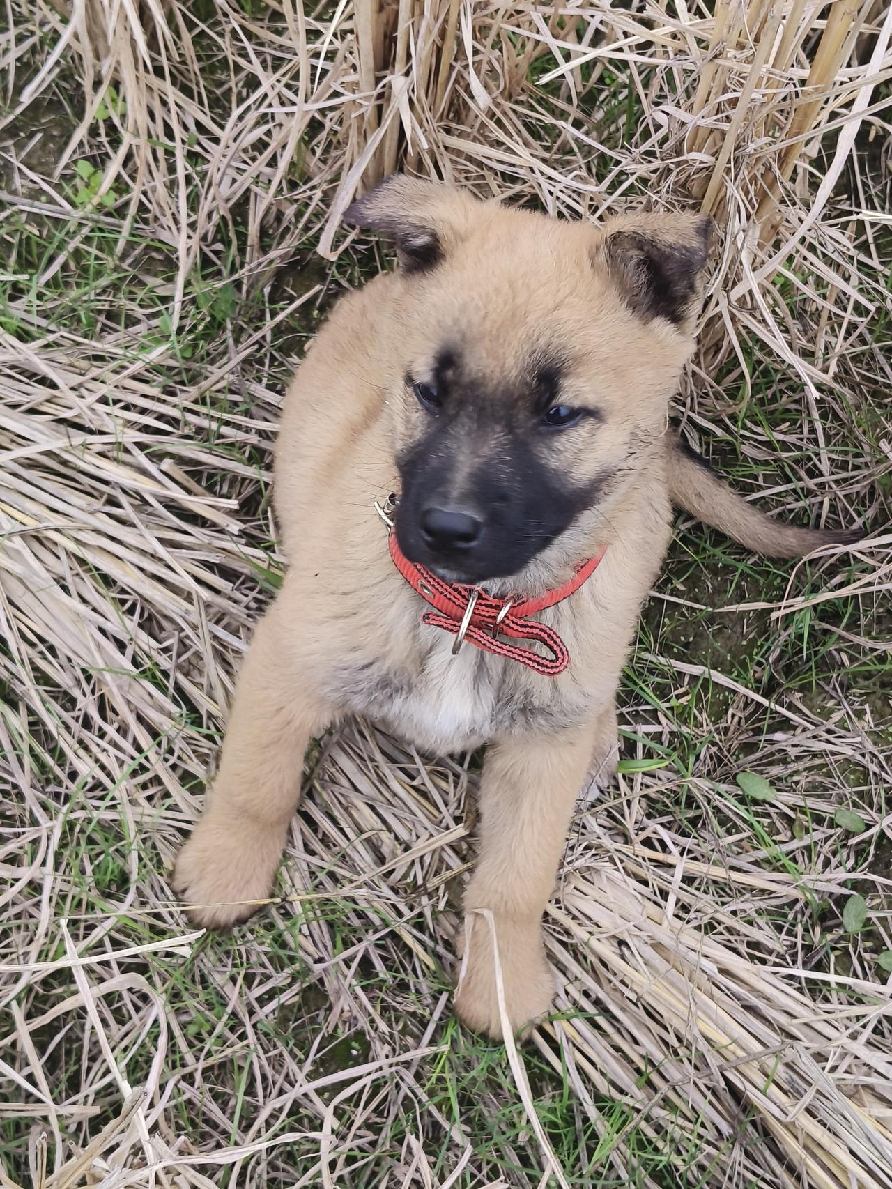 今年冬天的不同今年冬天可太不一样了！全国大范围异常偏暖，1月平均气温较常年偏高
