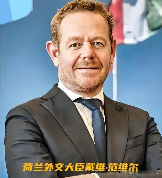 荷兰背刺盟友！荷兰支持美国吞并格陵兰岛荷兰这波操作真是让我开了眼了。