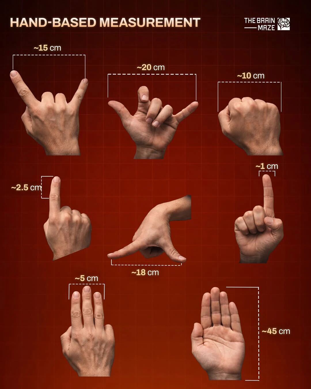 手部常规公制标尺测距助记图