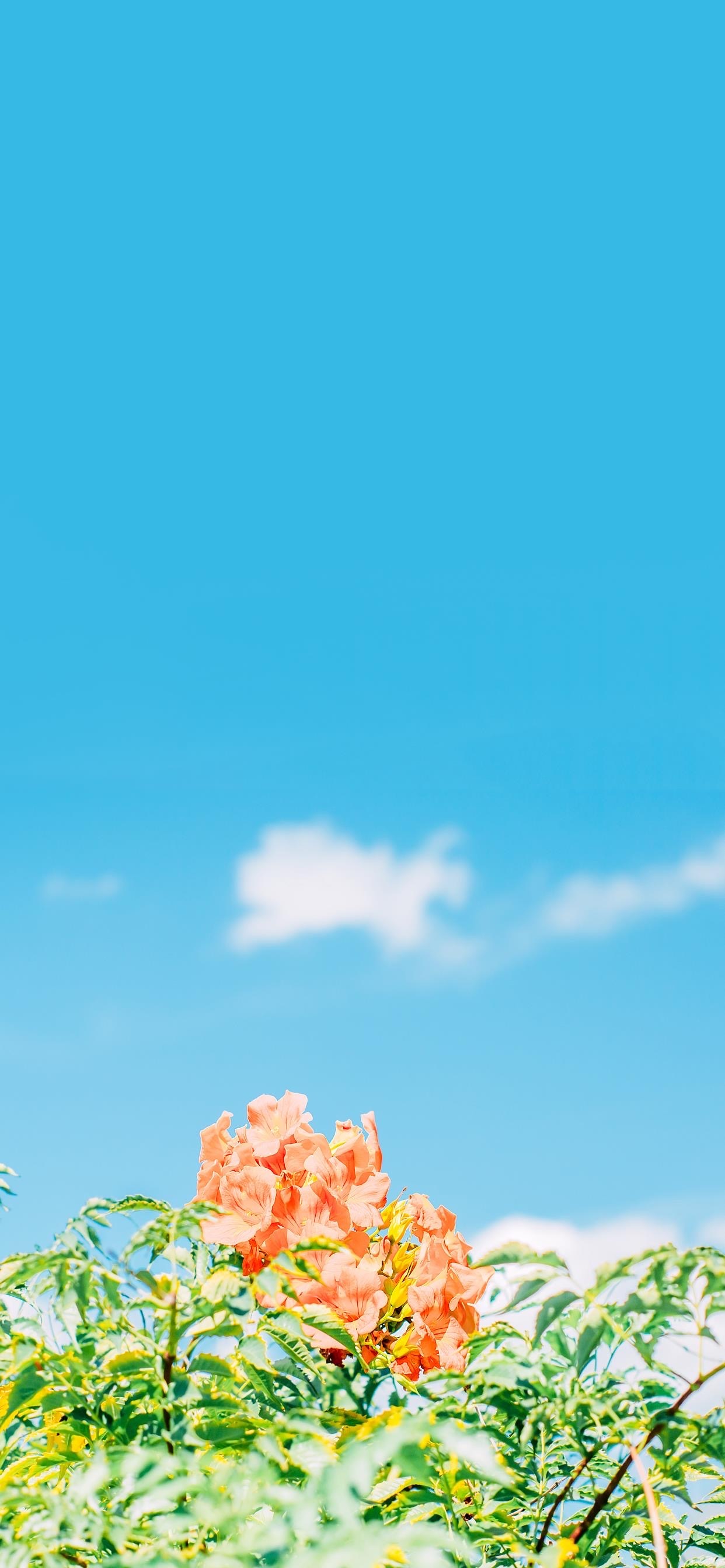 治愈系风景壁纸​​​