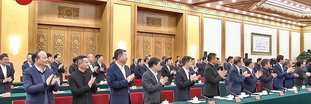 民营企业家座谈会，第一排都有谁阿里-马云华为-任正非比亚迪-王传福小米-