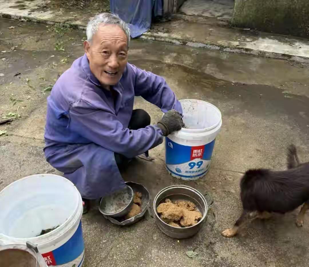 凯里动物园要大改善了70多岁的退休教师一个人照顾着30多种野生动物,把