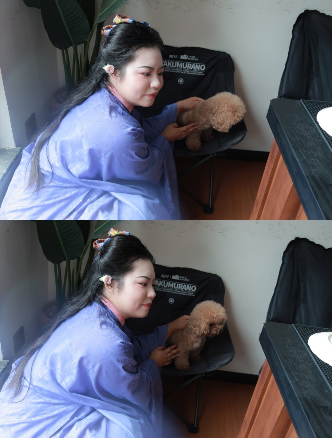 摸小猫小狗的时候就是很快乐啊p1简直是我见过最乖的小泰迪狗狗，喜欢舔人的手，也会