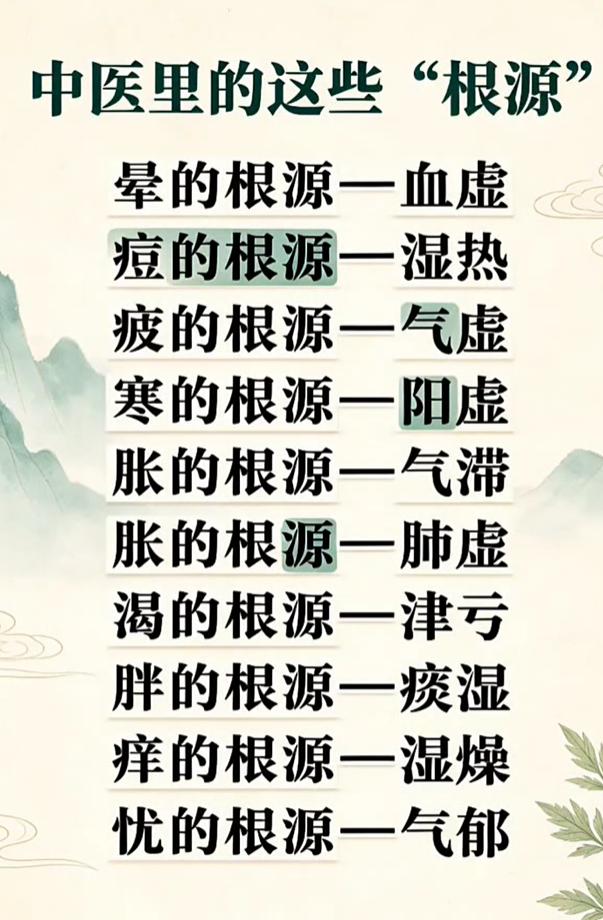 头晕、长痘、乏力？从中医角度看懂身体不适的本源