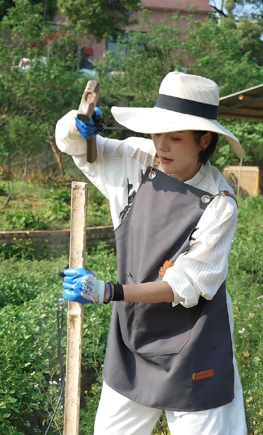 杨乐乐更新了她的菜园子进度，她抽了个周末的时间又去地里干活儿，这次依旧只有她一个