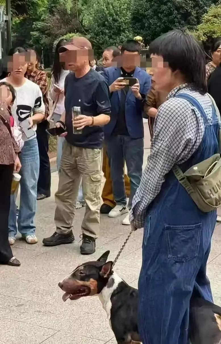 四川眉山咬人的牛头梗，会怎么处理呢？第一、出事之后，这条狗已经被公安带走收容