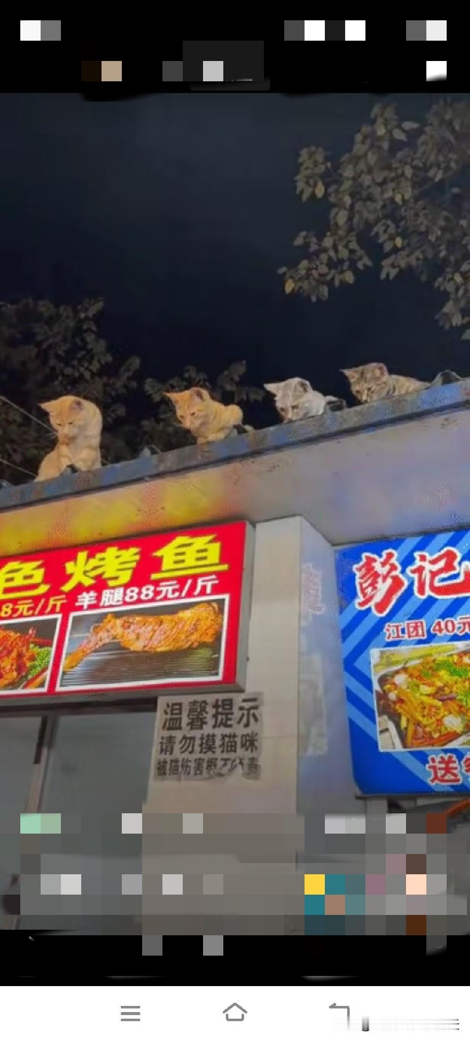 笑不活了!近日，贵州贵阳，一烤鱼店老板正专心烤鱼，翻面、撒调料，忙得热火朝天，