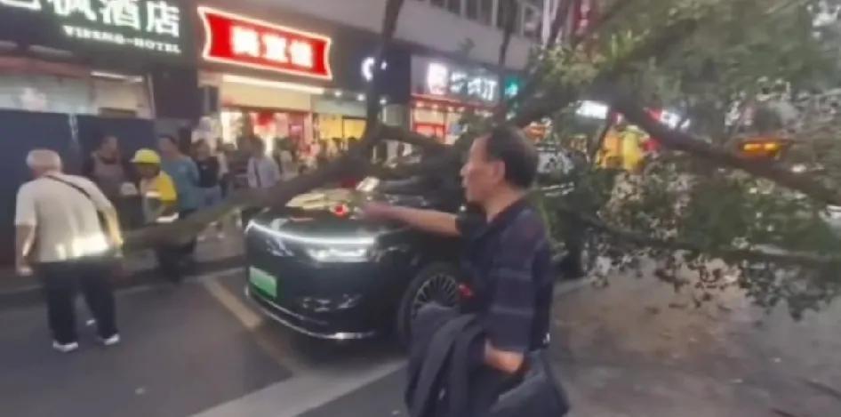 问界M8把树撞倒了？说好的aeb呢？黑子们又沸腾了，一张图片到处转发造谣，而