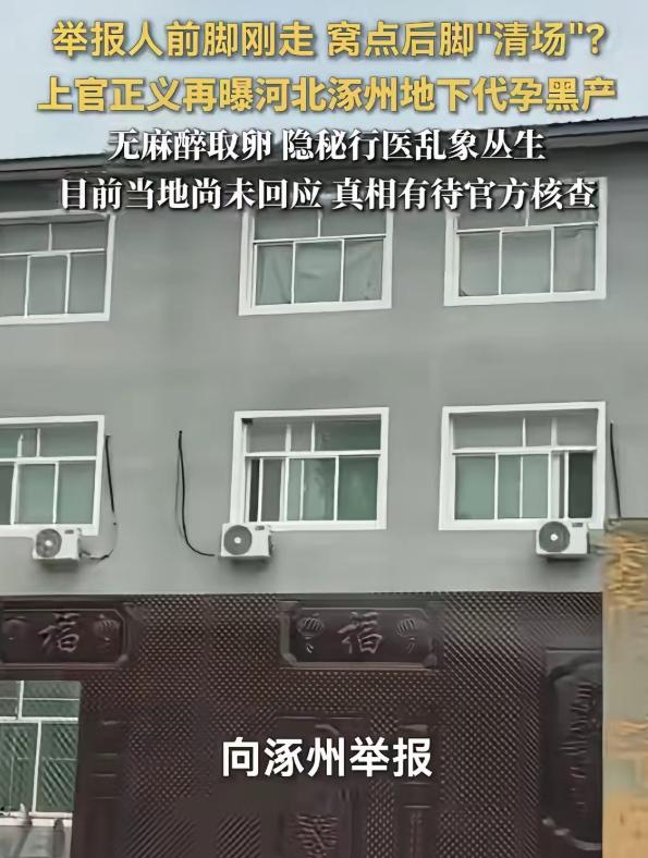报完警不到十分钟窝点就空了，上官正义问了一句话：谁透的风？ 谁能想到，普通乡