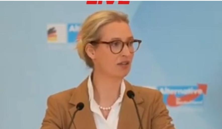 德国选择党主席爱丽丝·魏德尔痛斥欧洲政客奉行的双重标准“多年来，我们一直听着