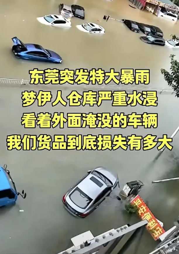 这几天，东莞因受到了大暴雨袭击，大部份镇街受到严重的影响，到处是水浸街，我的许多