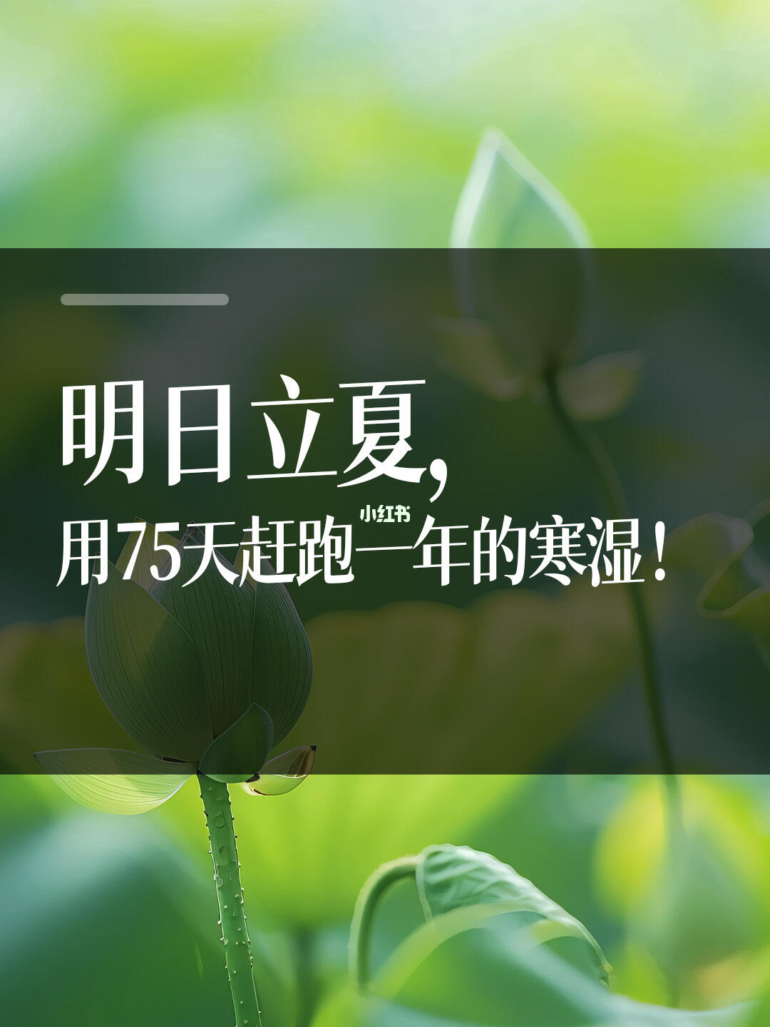 明日立夏，用75天赶跑一年寒湿！