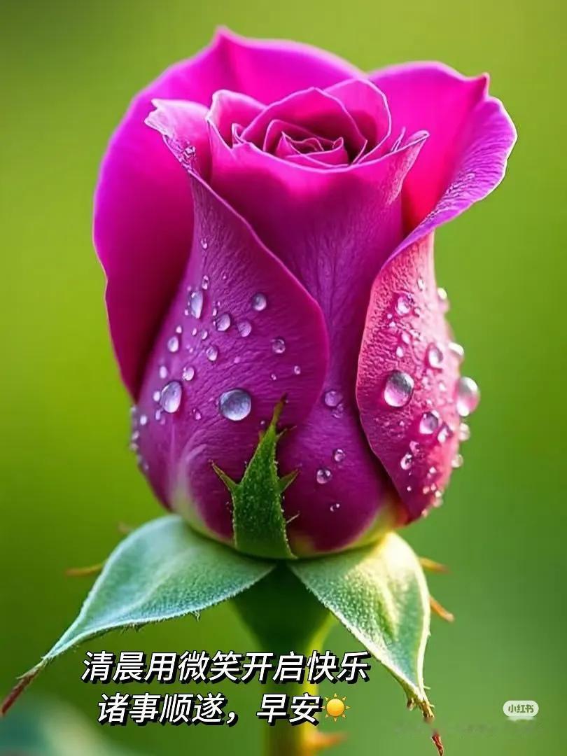 百事皆从心起，一笑能解千愁，这话着实很有道理。心态宛如人生的定海神针，心态佳，情