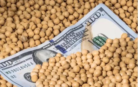 解释不清了！当一船满载6.9万吨巴西大豆的货轮靠泊江苏泰州码头时，谁也没想到，大