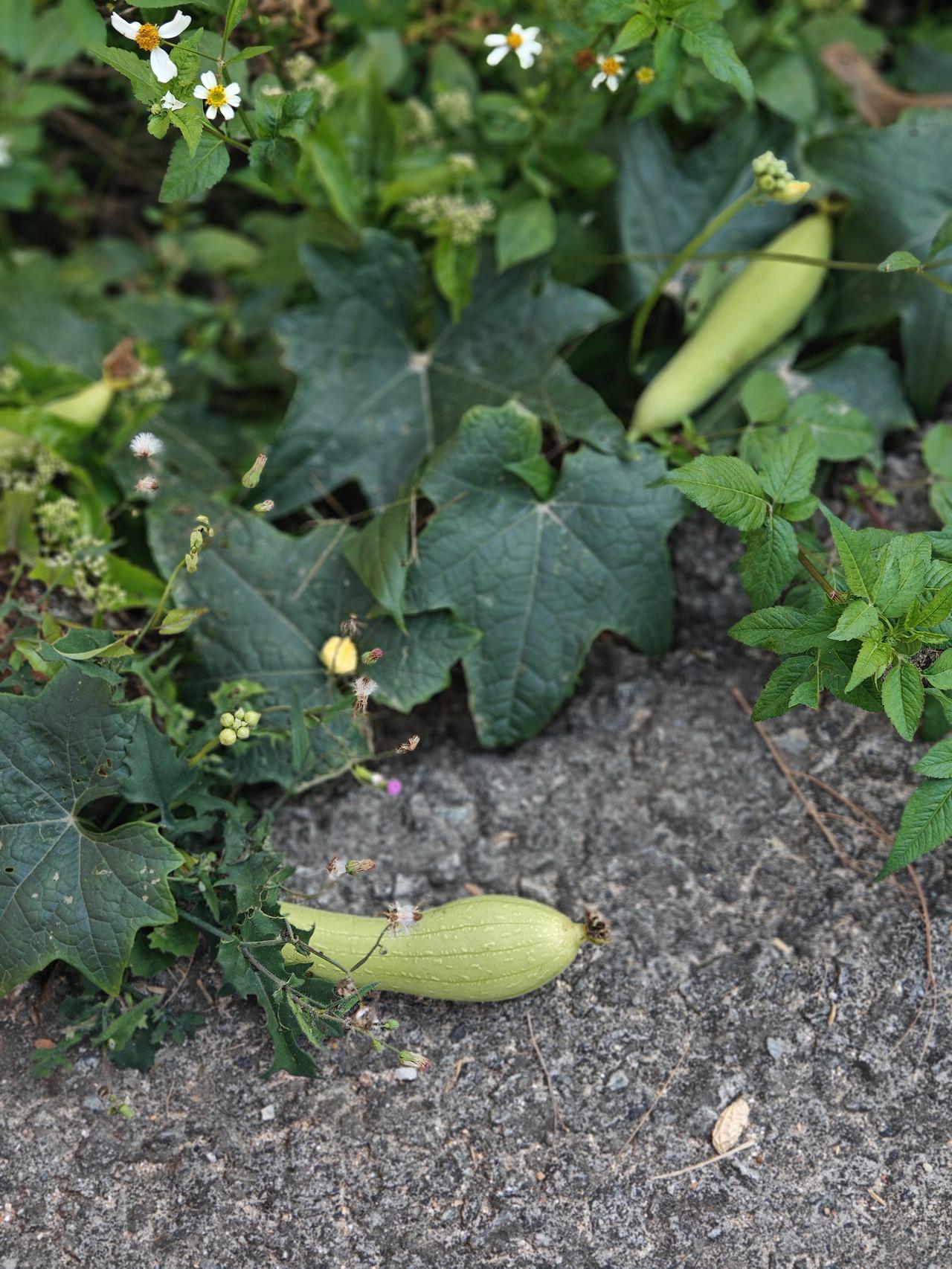 离婚要趁早，复婚需谨慎——对男人说的