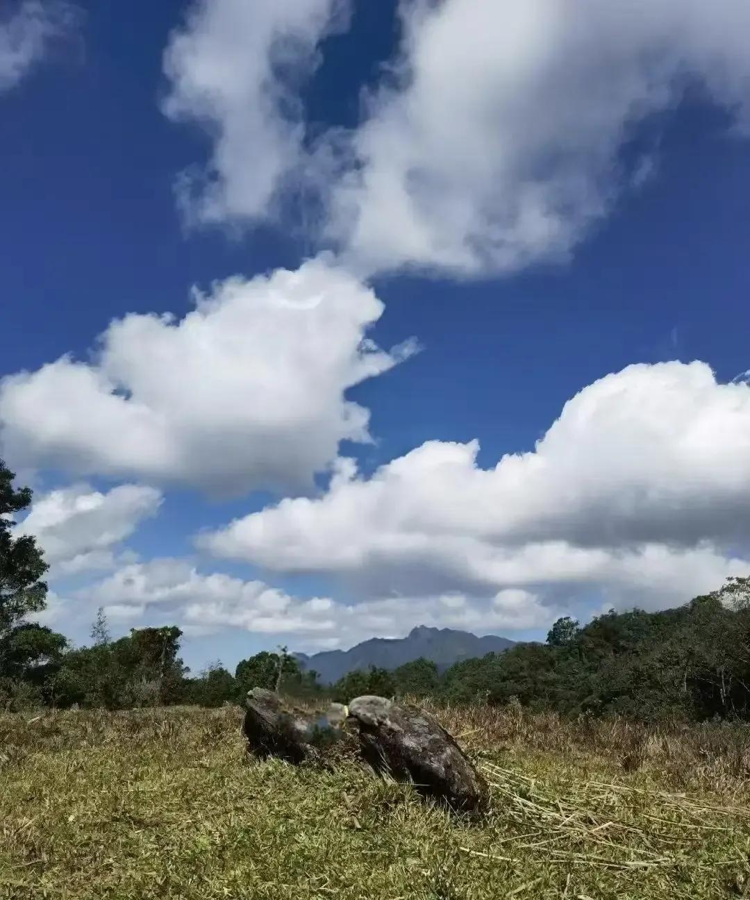 刷到一篇说高手都低调、菜鸟爱显摆的帖子，评论区吵翻天。我回想身边，确实有人一年