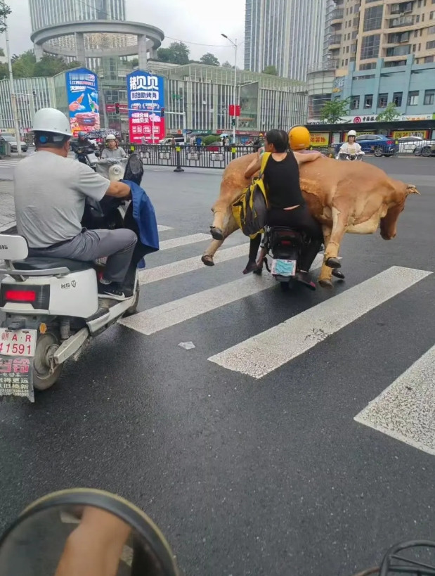 就问你这个操作牛不牛。