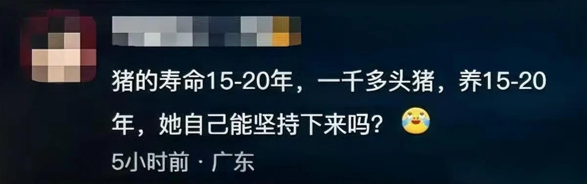 你敢信吗？花58万救猪救的还是即将被用来祭祀的上千头乳猪？这事出来之