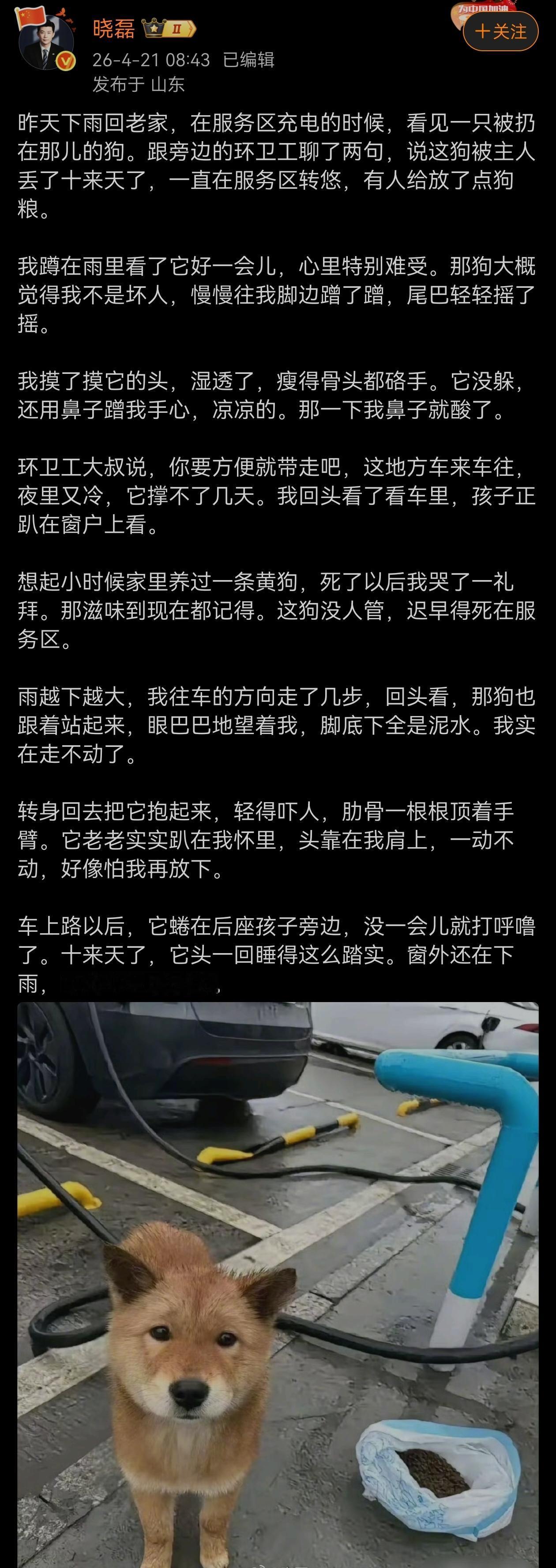 这种狗的原主人应该抓出来被判罚。建议那些所谓的爱宠人士应该去问责这样的狗主。