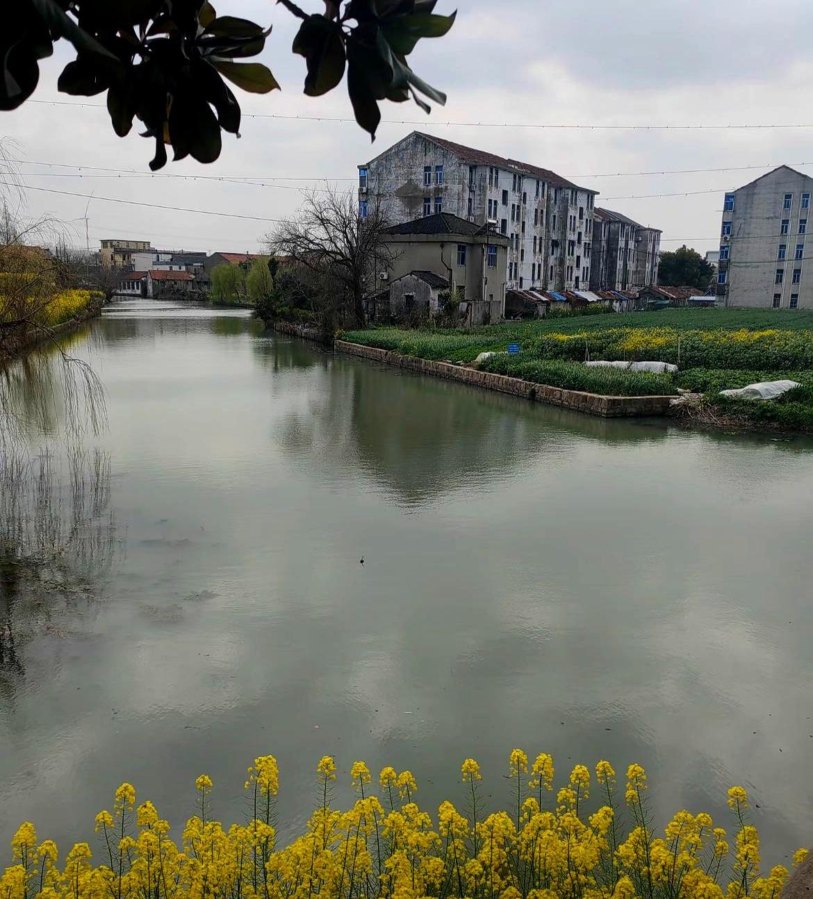 爸妈离婚那会儿，我妈死活要带我走，连户口都改到她那边了。说实话，我爷奶家条件好