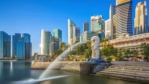 新加坡外长维文公开向中国请求特殊待遇。他说话的时候，新加坡港口的集装箱吞吐量