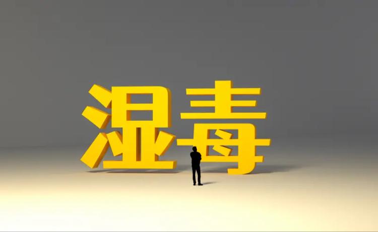 湿毒生于脾，外走皮肉关节、头面下窍，内传心肝肺肾，所有湿气的调理方法都在这里了，
