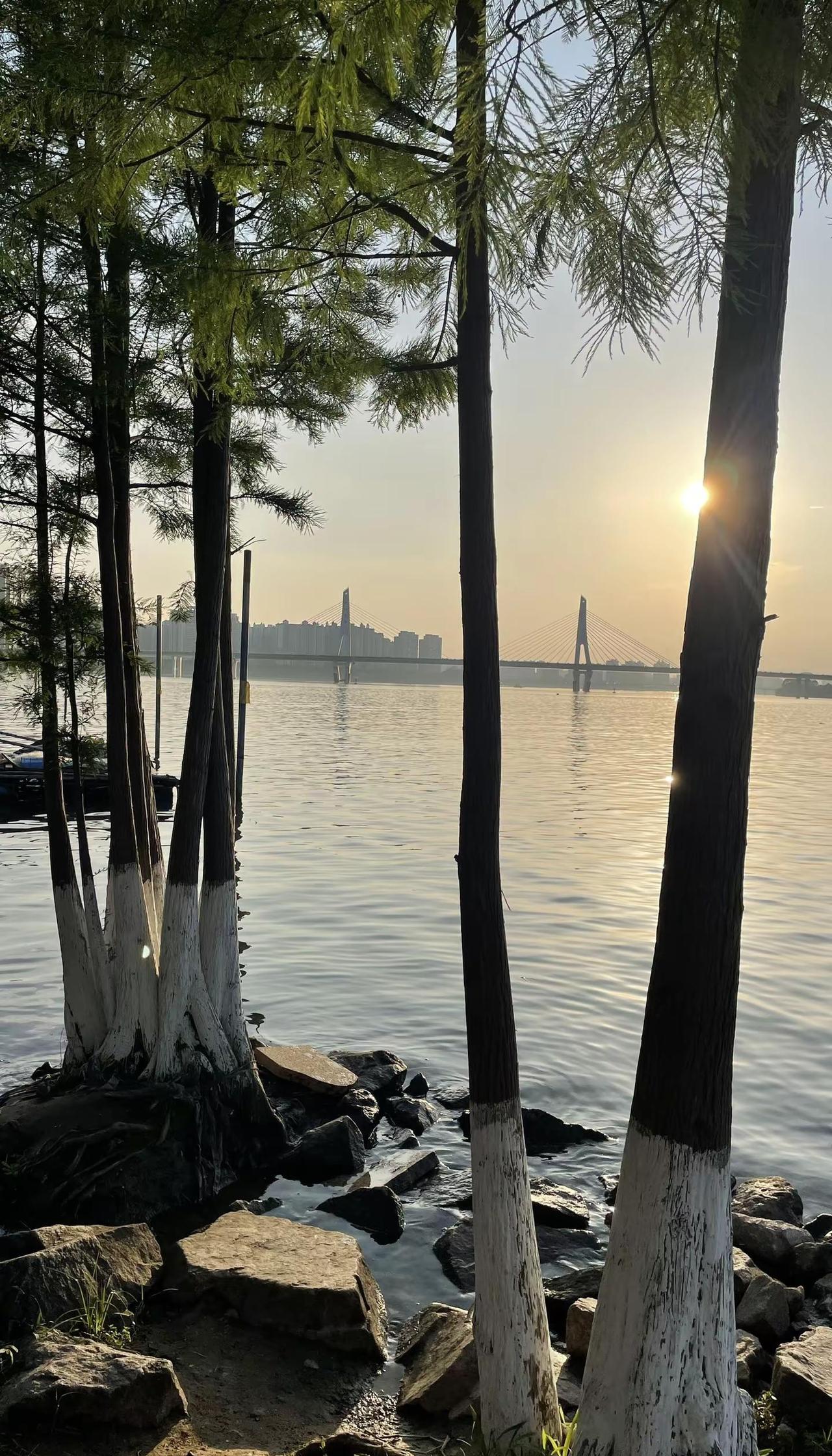 也许一切并没有想象的那么差。