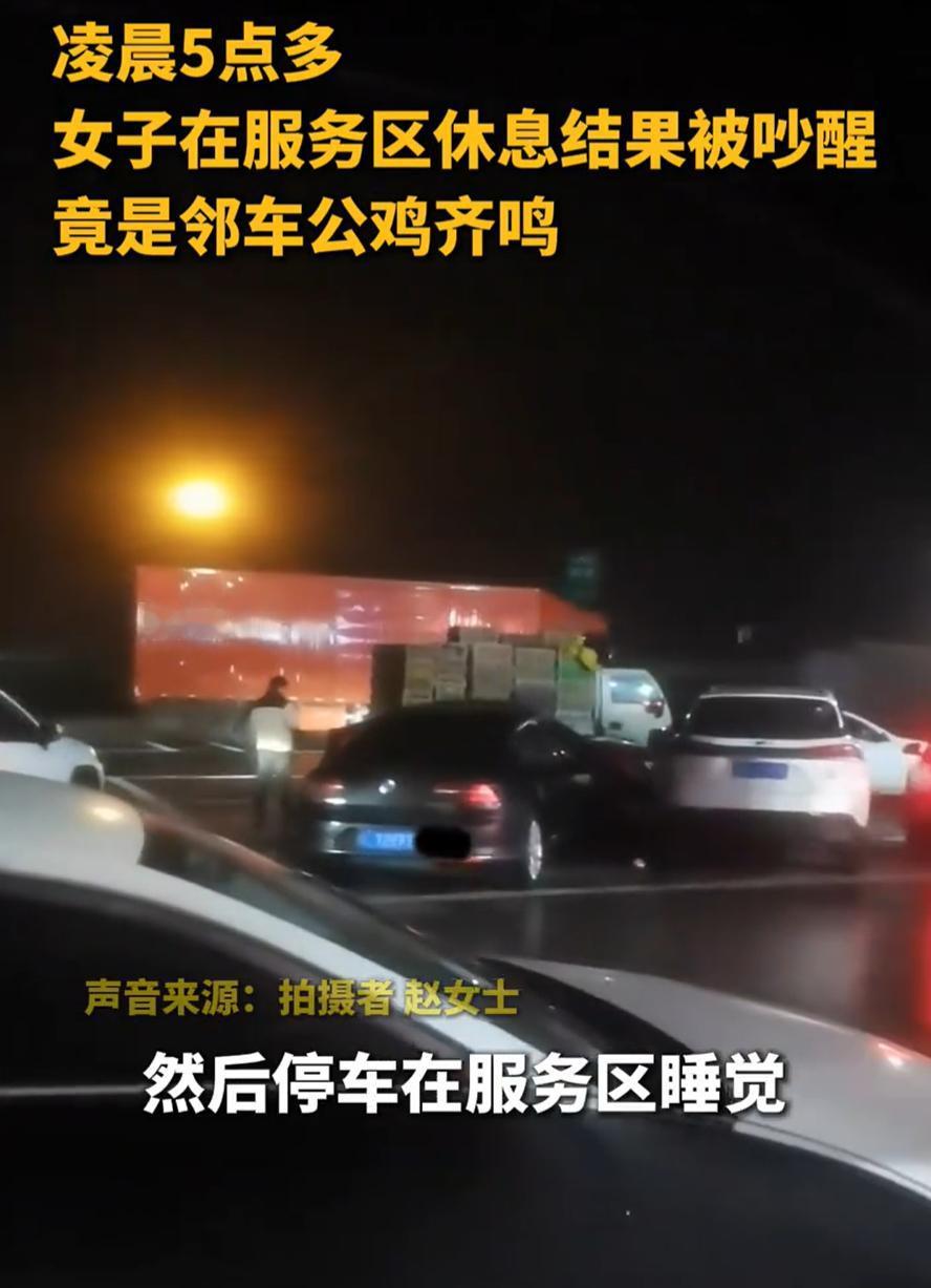 湖北恩施，一女子开车上高速回家过年，路上实在太困就在服务区睡了一觉，没想到，天还