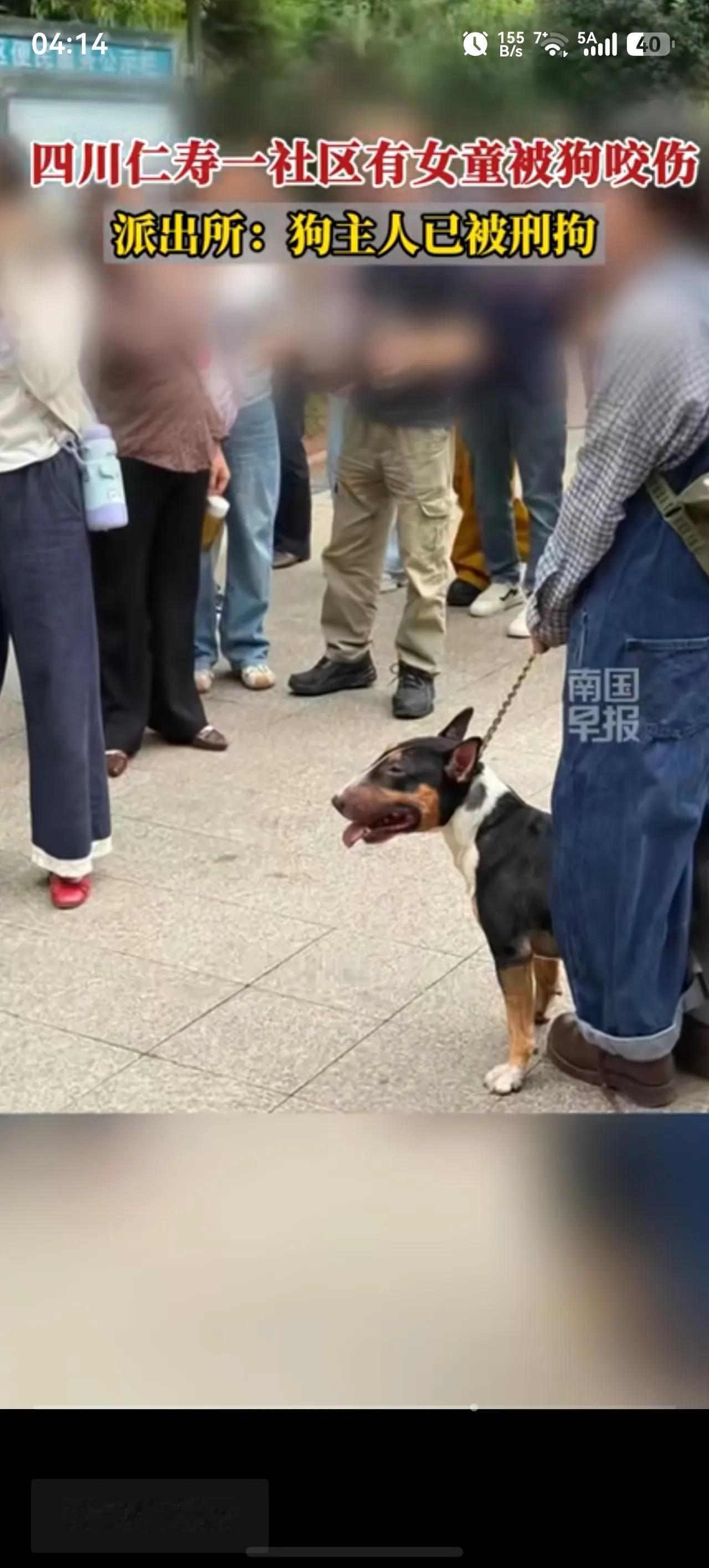 这种情况你支持入刑吗？又一起烈狗伤人案例，把小女孩的脸耳朵都咬伤了，鲜血淋漓，
