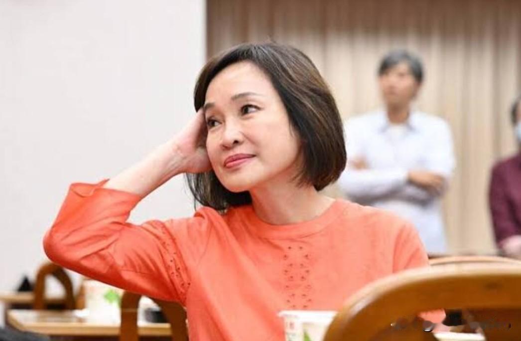 国民党内的“台独”女一号就是柯志恩！柯志恩这个人，对中国大陆没有什么号好话。之前