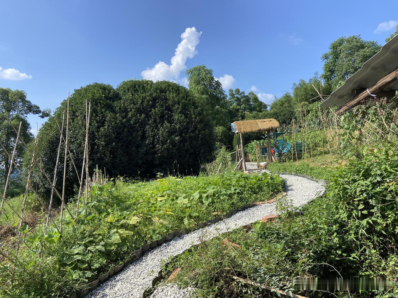 这是我们去年六月份花3万块买下的土瓦房，如今改造成这样了，基本完善这里周围环