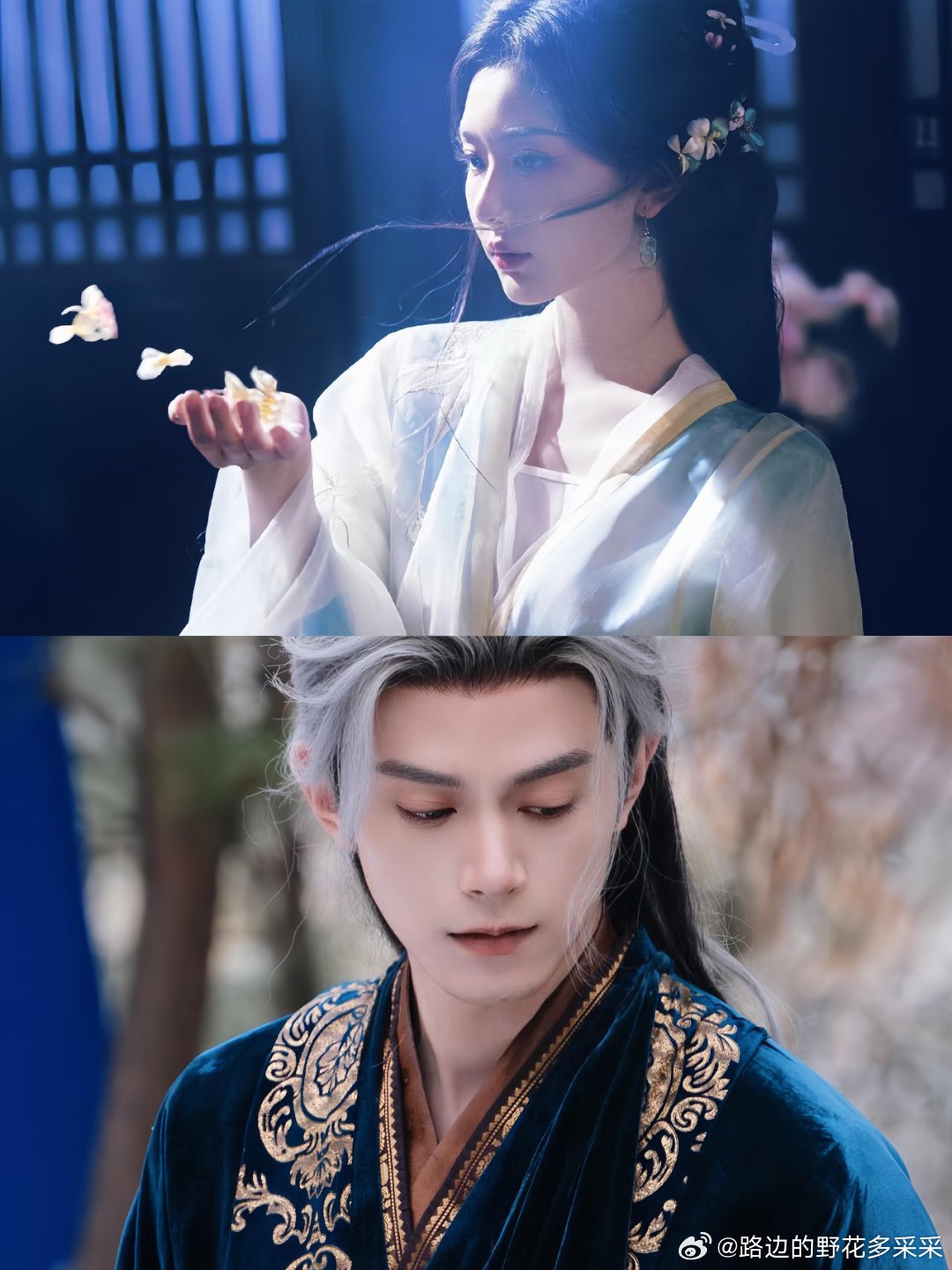 逐玉：浅浅是不是从头到尾都没爱过齐旻？？？刷到了齐旻从城墙上坠下去的视频——这意