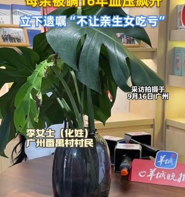 藏了16年的私生子，居然是拆迁对户口时被亲女儿翻出来的，这瓜搁谁身上不天塌？广