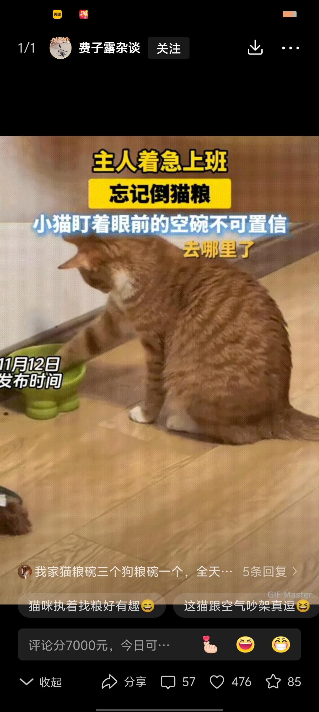 杭州有个女孩早上起晚了，慌慌张张出门上班，连早饭都没顾上吃，顺带把家里的猫也忘了