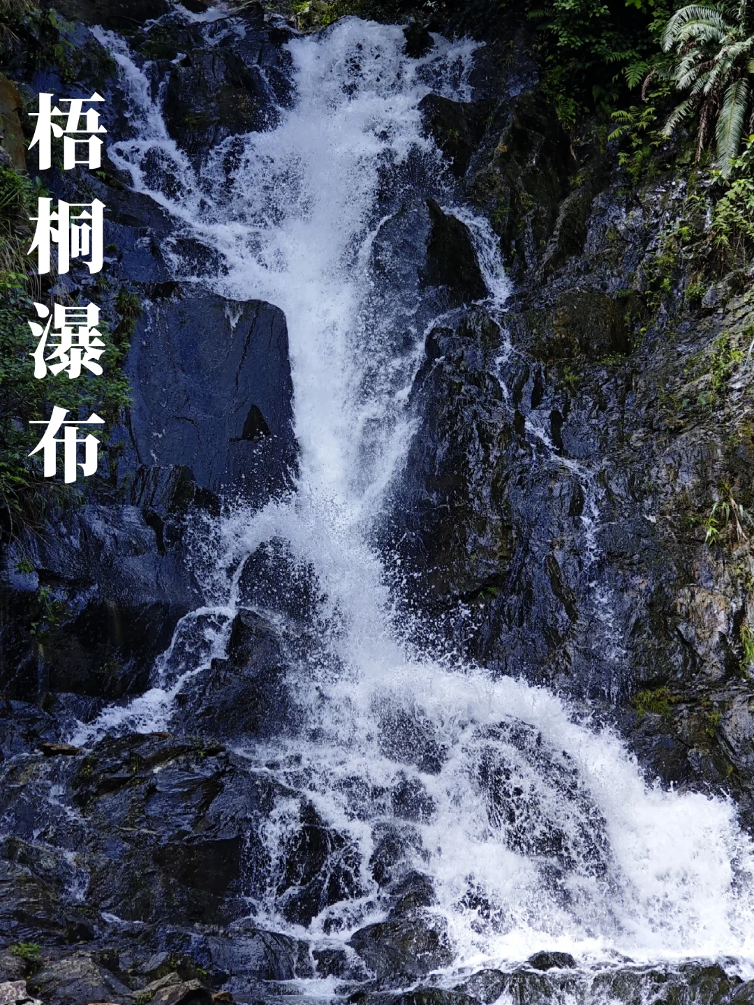 35度的夏天进山清凉一夏，梧桐山戏水降温