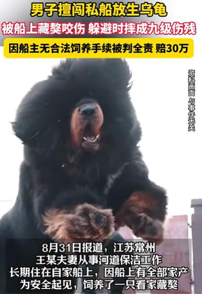 8月31日报道，江苏常州，王某夫妻从事河道保洁工作，长期住在自家船上，因