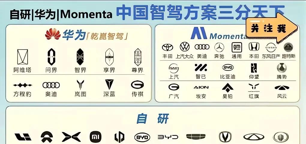 其他汽车厂家所谓智驾就是基本使用国内外主流的智驾公司技术，一家车企投入几百亿搞智