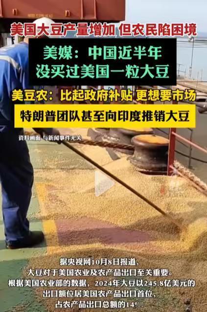 下定决心！中国半年不买一粒美国大豆，让外媒彻底破防了。最近不少美媒在报道，大