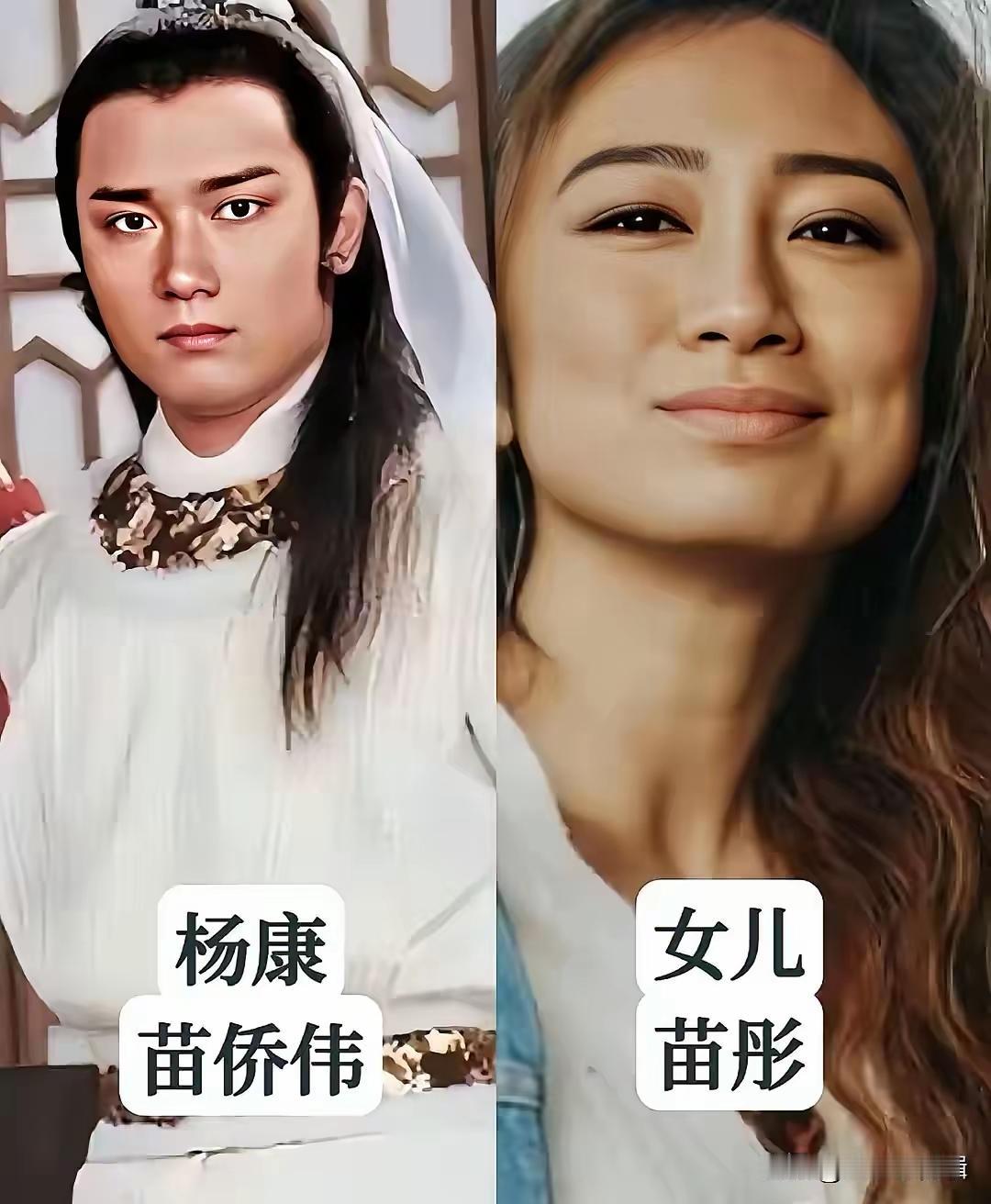 神雕侠侣这部电视剧演的特别好，里面的演员演技出色。苗侨伟是我见过最“贵气”的男