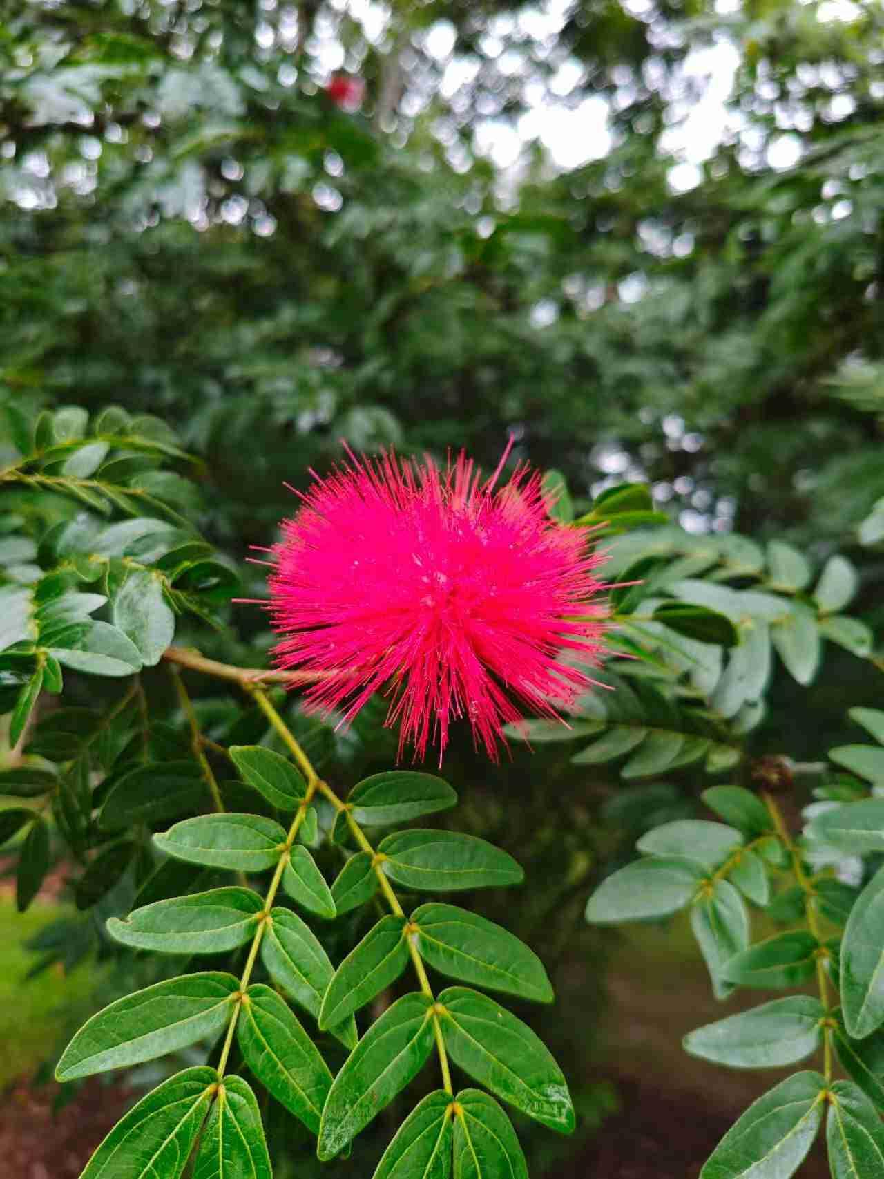 真没想到，邻居家两口子退休了，因为退休金闹得不可开交。用他家老头的话来说，我