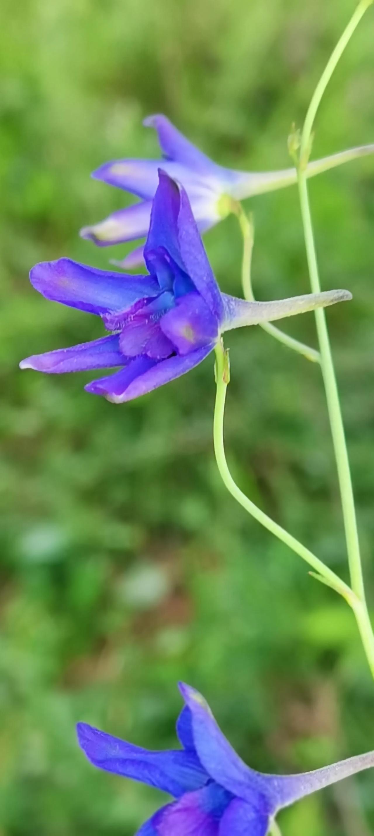 25080期，双色球，杀号预测没时间整理不同出数据，这期简化一下。★红球