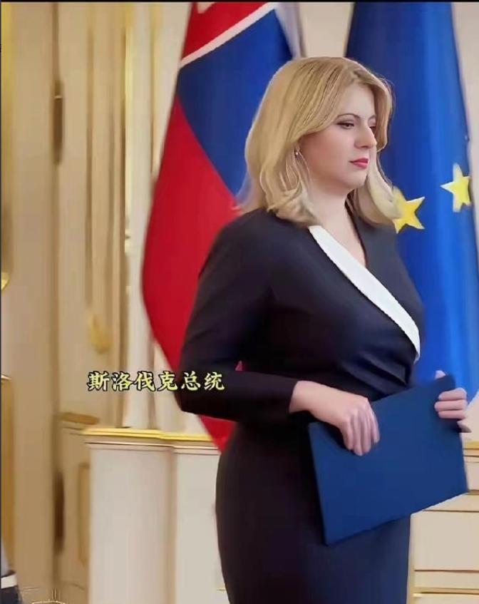 这应该是目前世界上最美的女总统了。提起世界各国的领导人，有位女总统总能靠独特气质