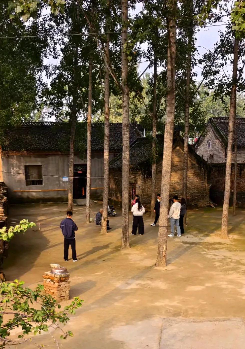 河南新乡,原阳县陡门乡一户老人的农家小院因干净利落引来众多打卡人群。小院低调