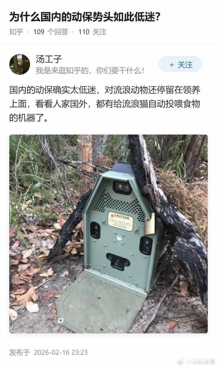 冷知识：自动杀猫器等于尊重动物生命