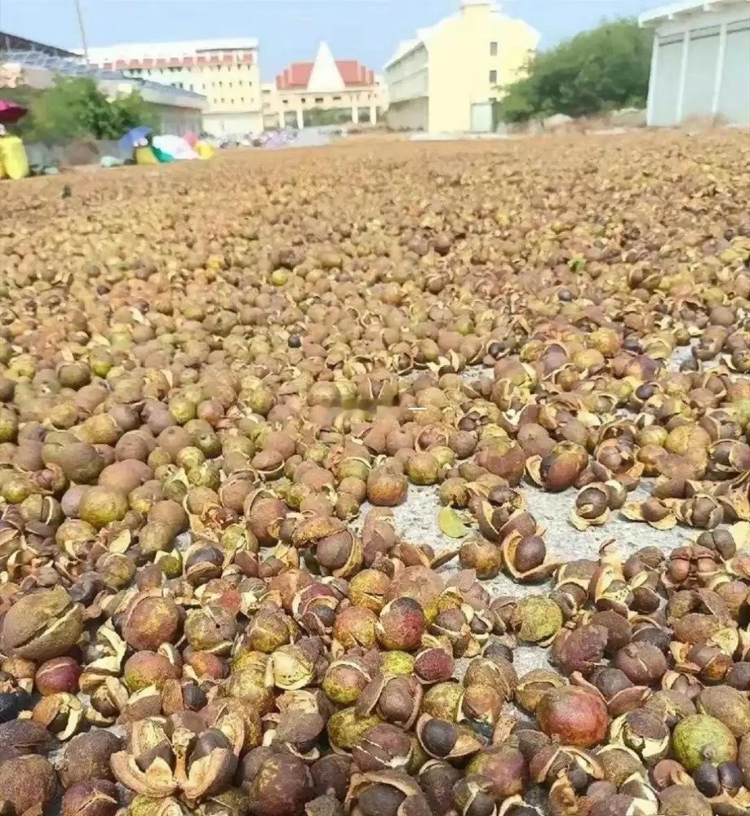 以前很火的油，现在怎么无人问津了