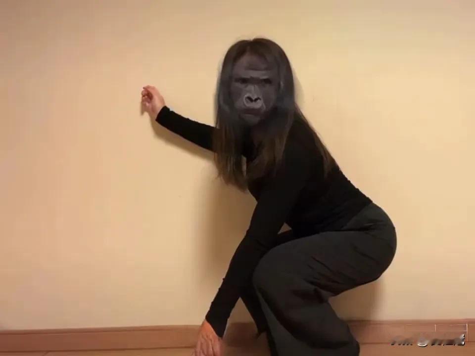 冒顿单于的泄密算计，阴险下流！白登之围结束后，汉朝和匈奴签了和约。汉朝答应了