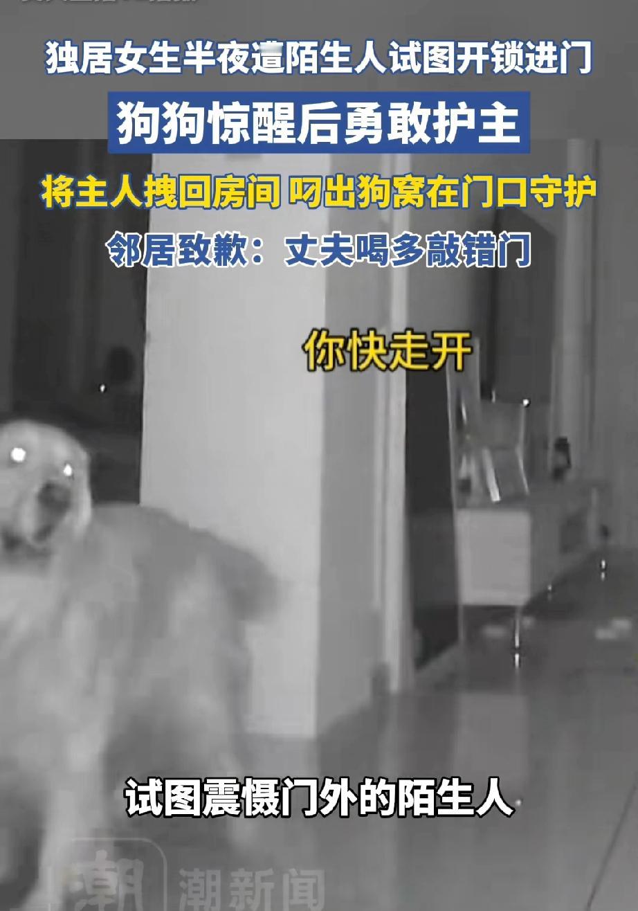 吉林，半夜时分，一位独居女子家门口，突然传来按密码的声响，紧接着电子门锁发出警示