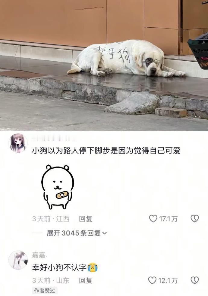 原来人和人真的不一样
