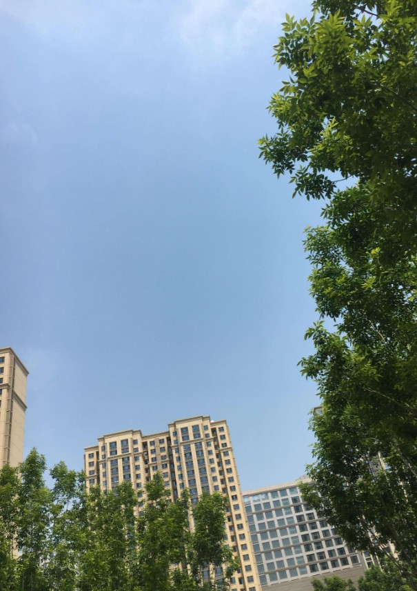 儿媳妇马上就要生了，这几天亲家母也从外地赶过来，跟我们商量，以后孩子谁来照顾的问