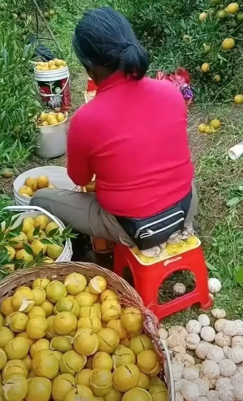 这不是浪费吗？能不能加工成果汁一举两得